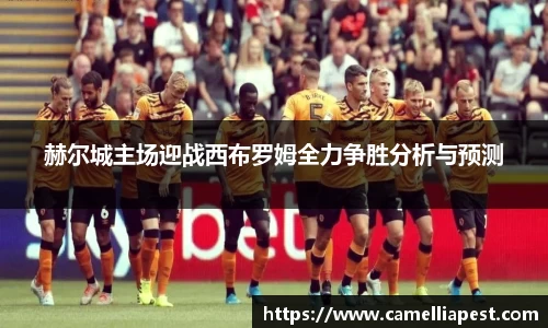 赫尔城主场迎战西布罗姆全力争胜分析与预测